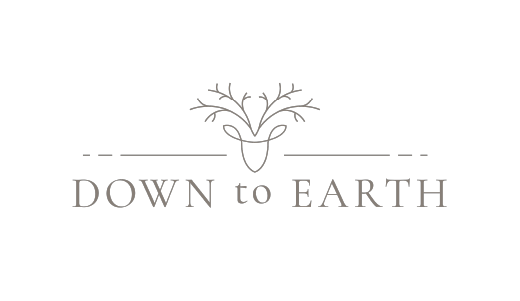 DOWNtoEARTH logo